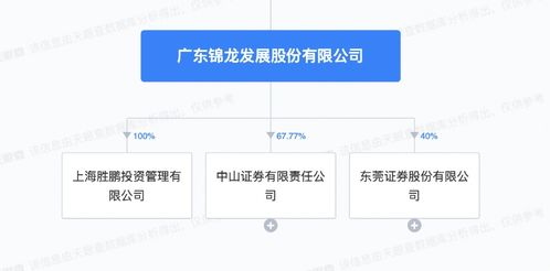 手握 两家券商 这家a股巨亏近4亿