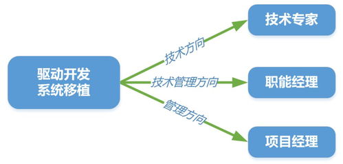 软件工程师适合去芯片公司吗