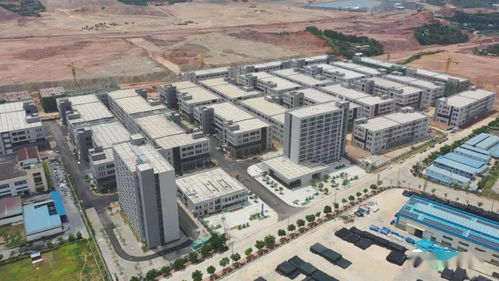 半年报 梧州高新区 强龙头 补链条 聚集群 上半年实现双过半目标