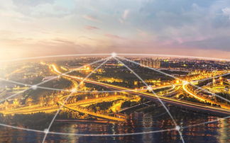 那些毫无怀疑态度的投资,最后怎么样了