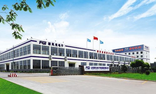 山东新风光电子科技发展