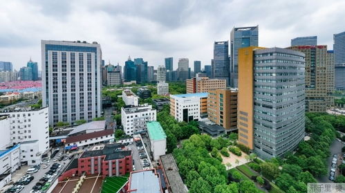 第二楼长 到岗,有问必解服务企业发展