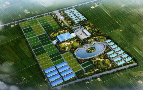 凉城县供热管网概念规划设计怎么写