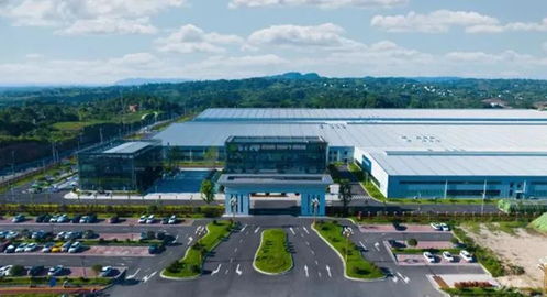 重庆 打造综合金融服务场景 支持食品及农产品加工产业高质量发展