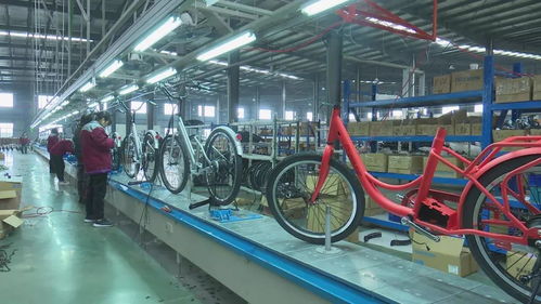 活力新衢州 美丽大花园 衢州 加大产品创新力度 不断开拓国际市场