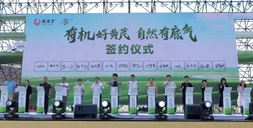 供需两端 双向奔赴 ,扬子江药业集团推动产业链创新融合发展