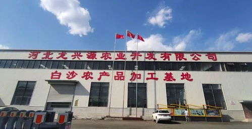 总投资23.86亿元 武安16个项目开工