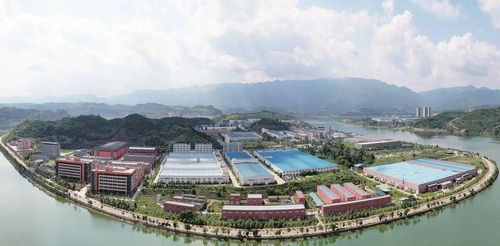 献礼祖国72岁华诞 广元市发展改革系统书画摄影展开展