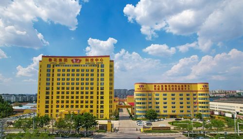 农业企业的时代使命 鲁花样本 助力乡村振兴的实践探索