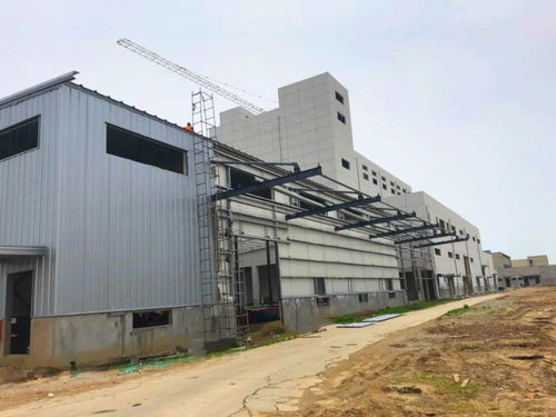 伯纳天纯 开拓国产宠物食品新蓝海