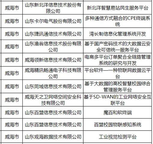 省重点软件项目名单,威海11个入选
