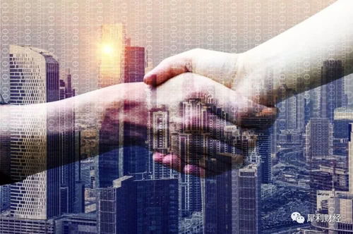 大涨31 ,优信 合谋 淘宝的背后逻辑