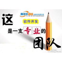 松原*开发*软件公司