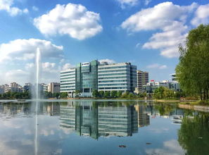 迎浦东开发开放27周年系列 企业为何而来 这里有 最适合创业的土壤