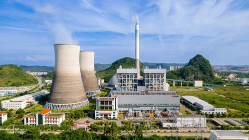 走进ce,一起rise 国能广西公司举办2024年品牌开放日活动