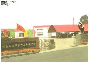 松原市风华农产品开发中心：粮油作物与软件销售的创新融合