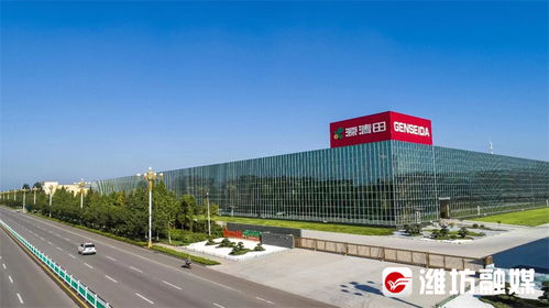 千里沃野竞风流 松原软件销售的新篇章