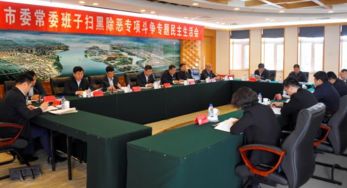 扫黑除恶 吉林亮剑 松原软件销售行业整治行动