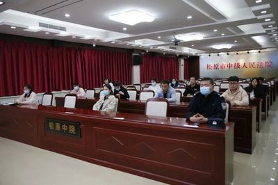 松原中院党组织BTX工作拉开序幕，软件开发助力提质增效