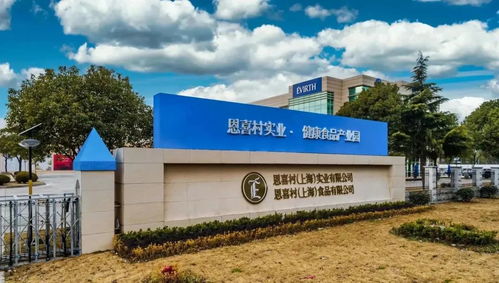 税收收入40.03亿元 金山镇着力推进创新转型与松原软件开发